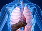 Physiology-Biochemistry